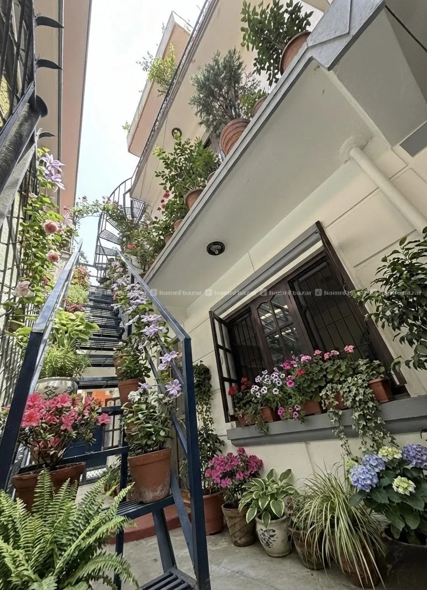 Beautiful House on Sale 3
