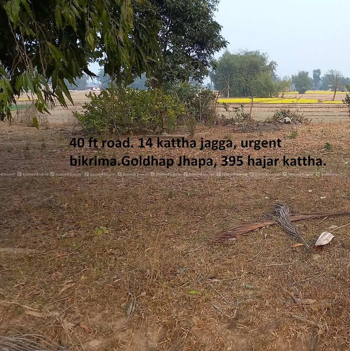सस्तो जग्गा बिक्रीमा 2