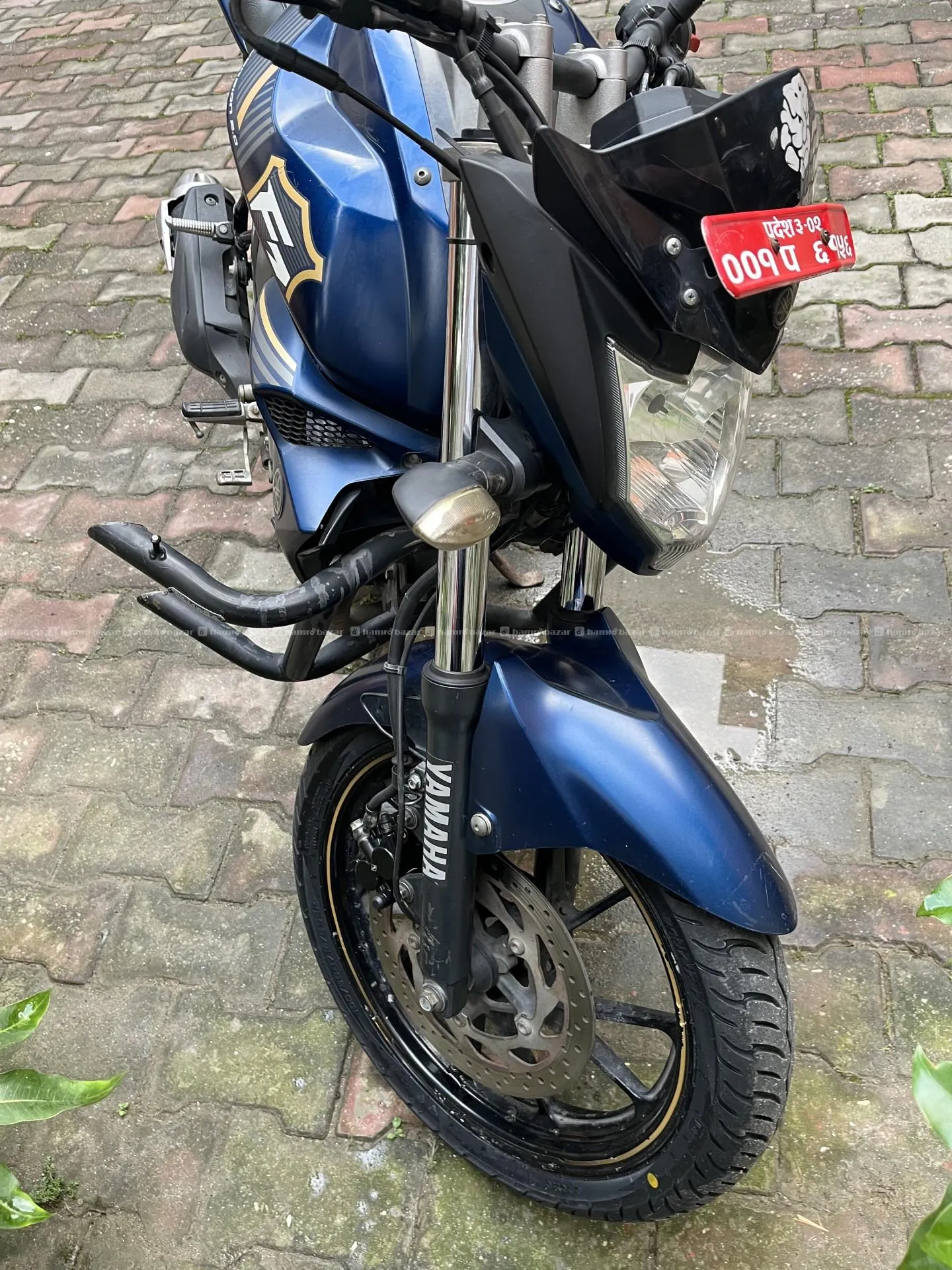 YAMAHA FZS V2 Bike 102 Lot on Sale 2