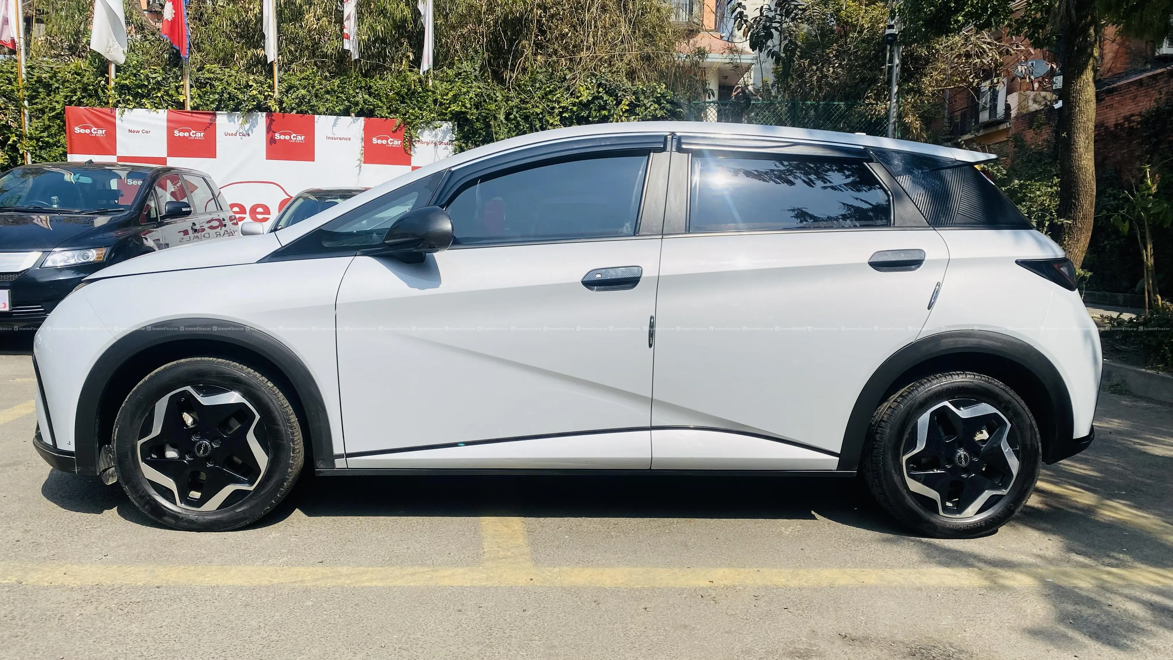 BYD Dolphin 2024 Model 4