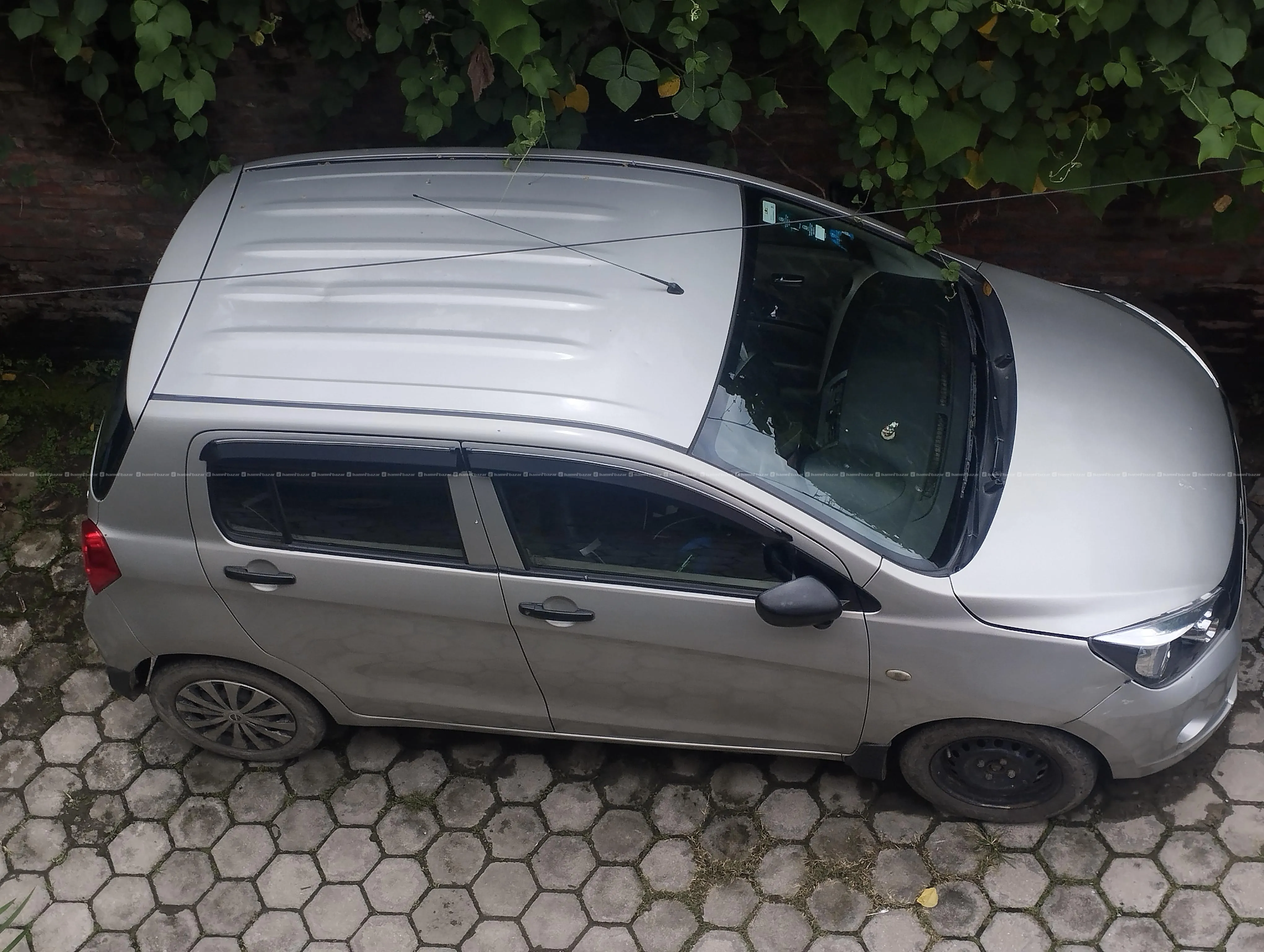 Celerio 2016 2