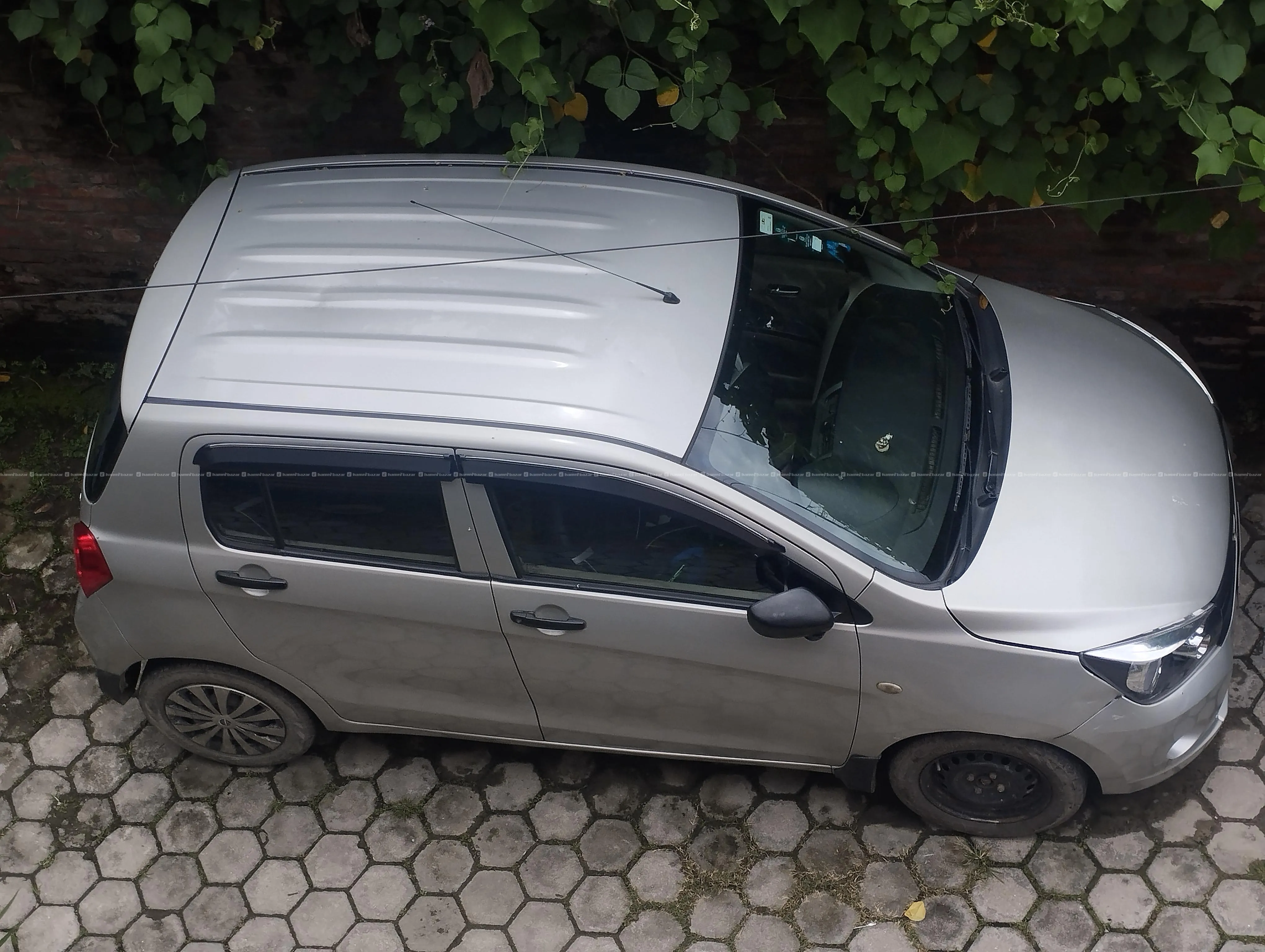 Celerio 2016 3