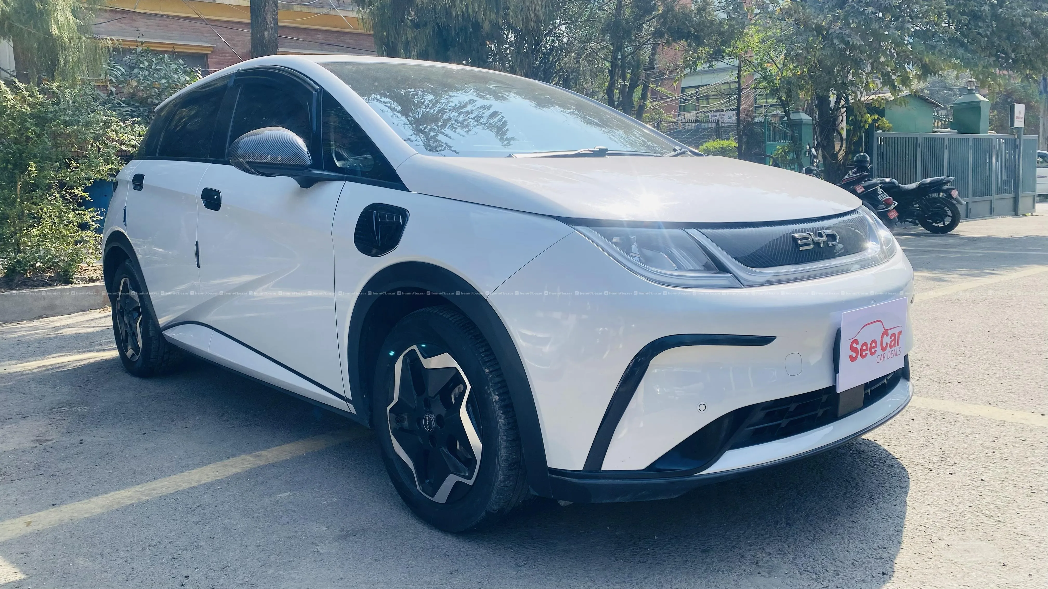 BYD Dolphin 2024 Model 5