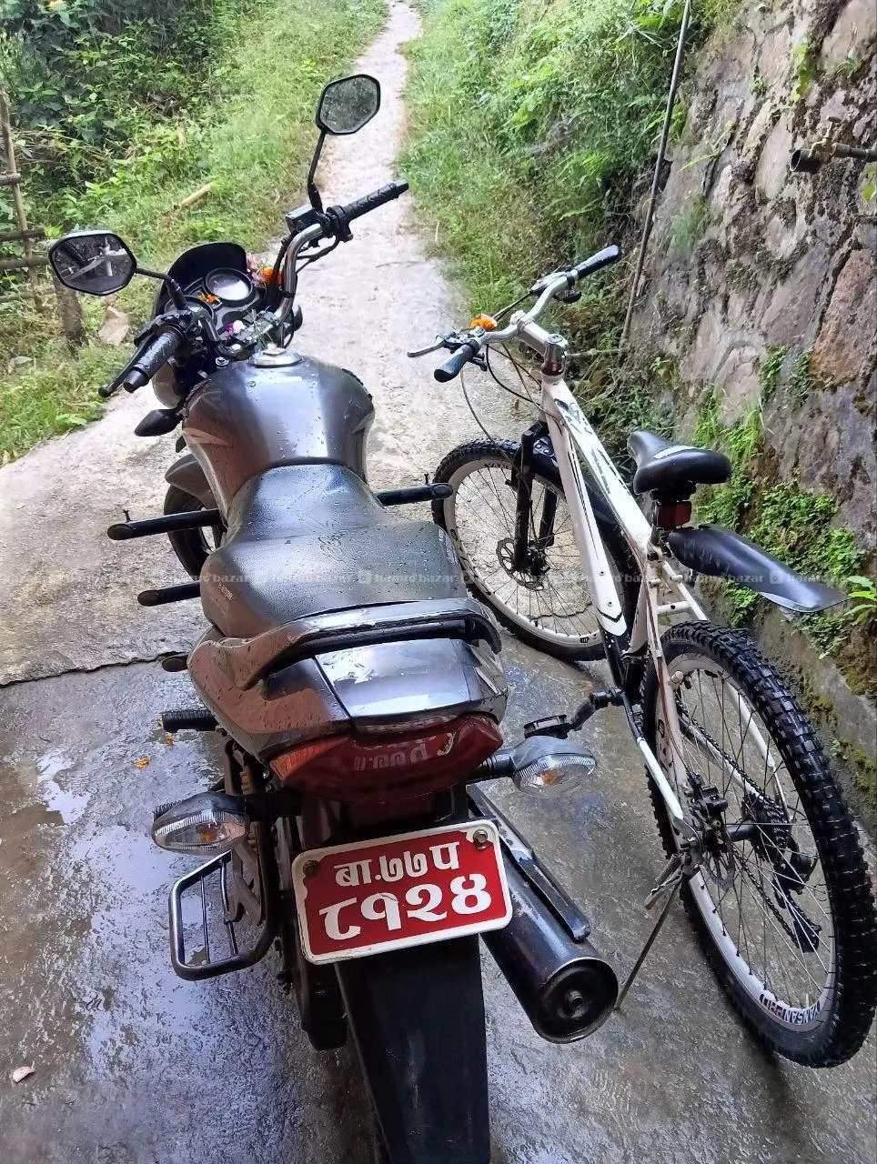 Honda Shine CB