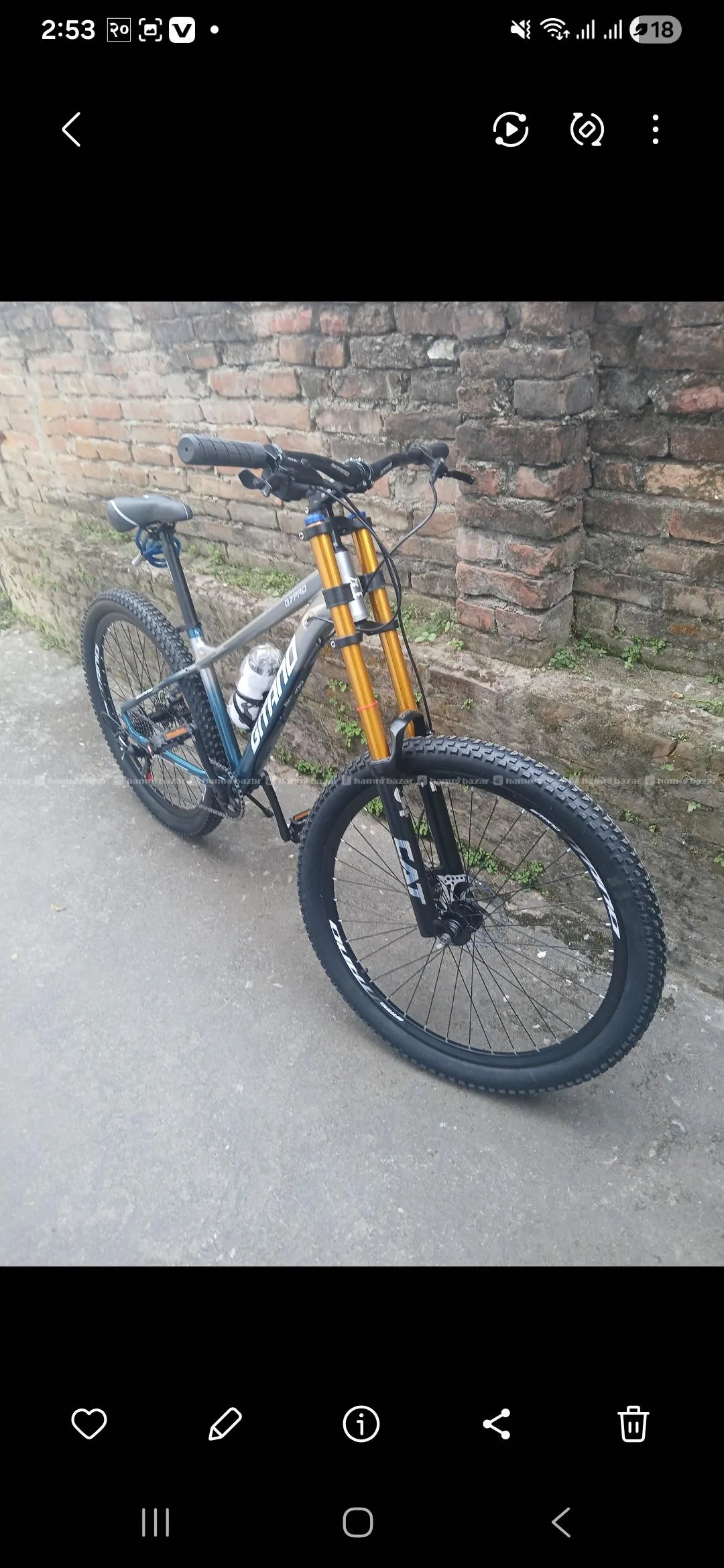 Bicycle