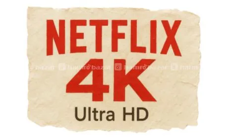 Netflix 4k Ultra HD Quality For 1 Month Single Srn 2