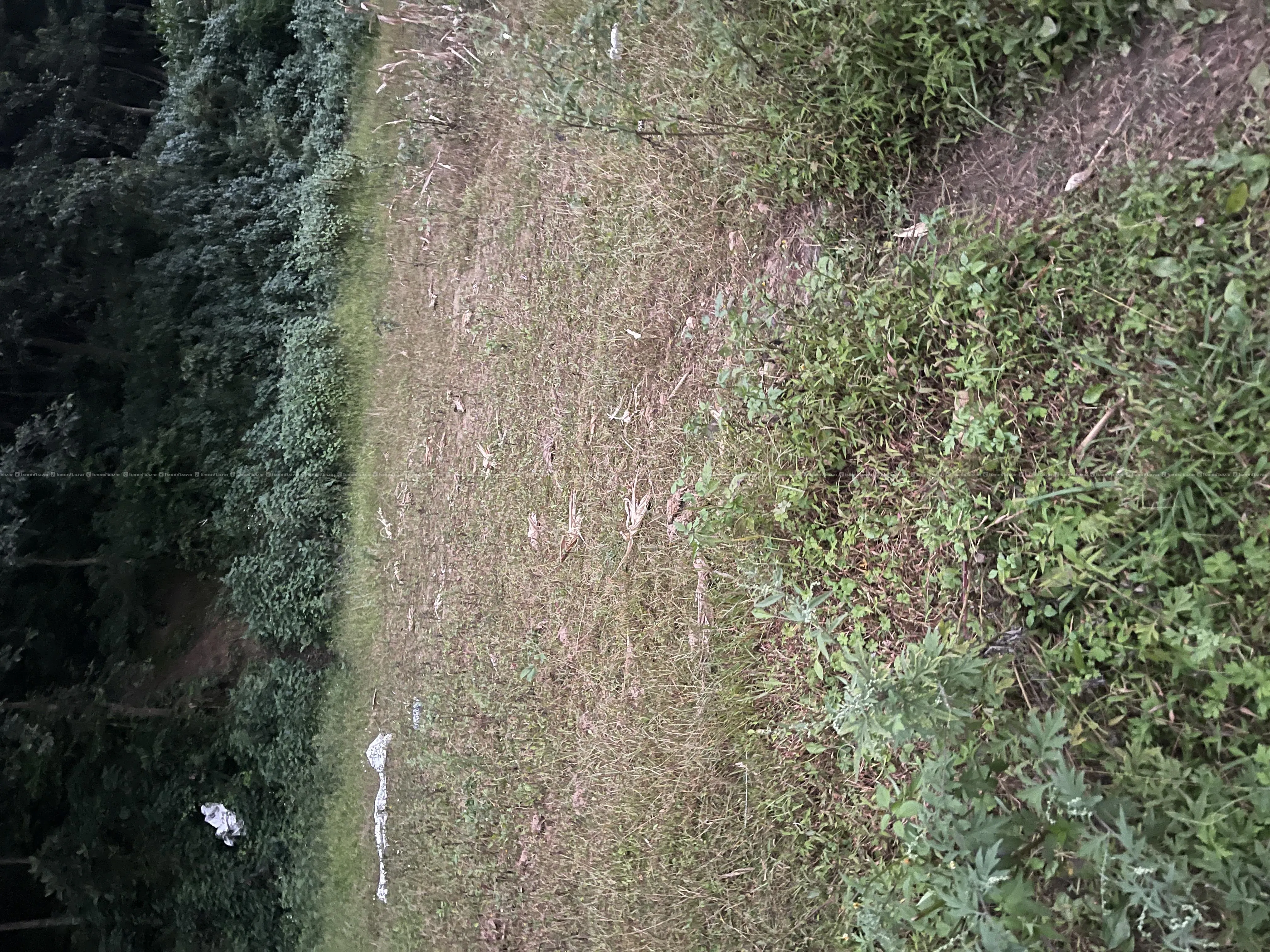 land exchange with car