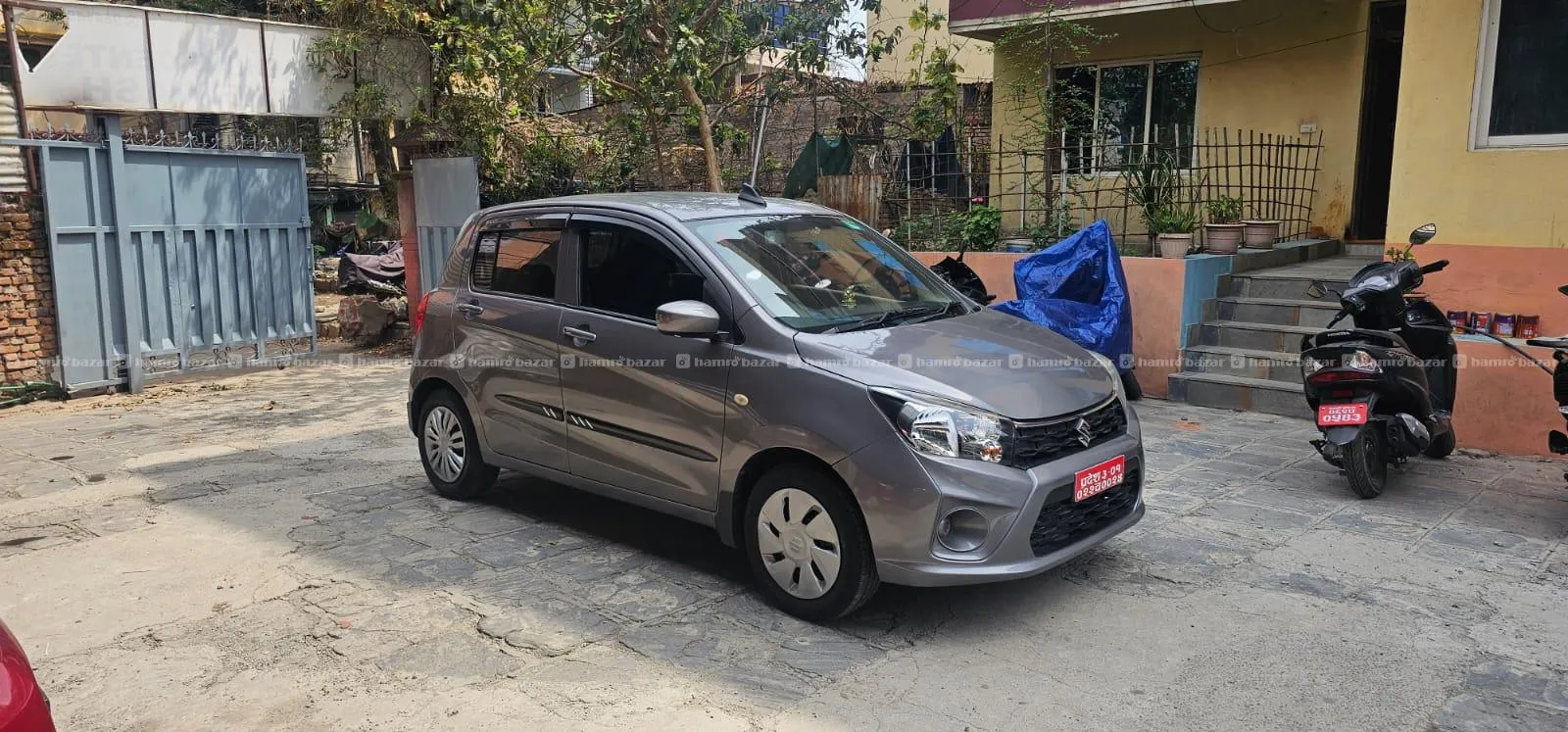Suzuki celerio vxi 2019