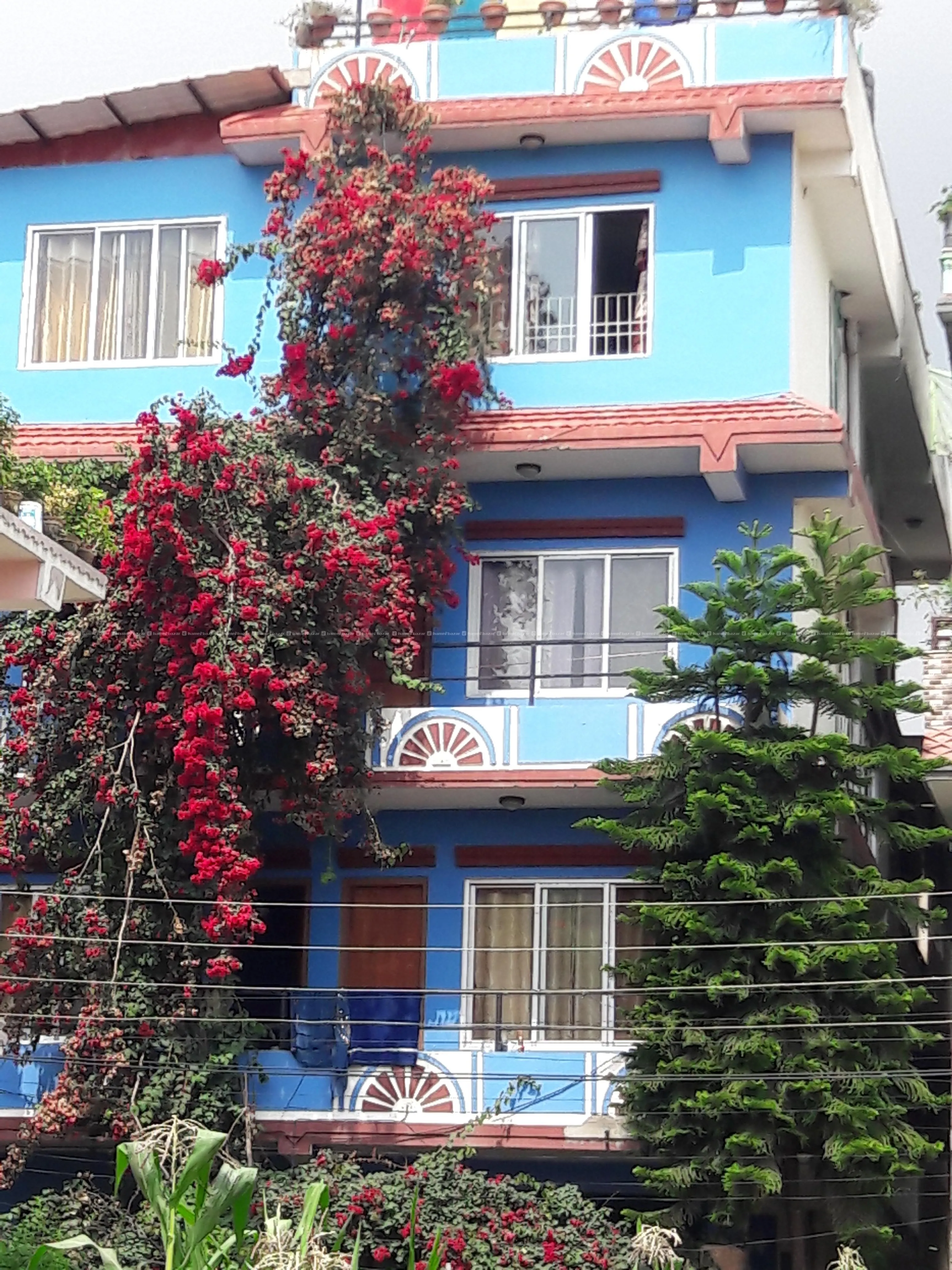 🏠 फ्ल्याट भाडामा उपलब्ध (एकता कोलोनी, बोजेपोखरी)