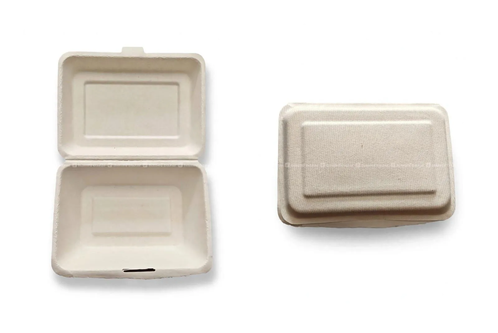 5x7 BAGASSE DISPOSABLE DELIVERY BOX | ECO-FRIENDLY 2