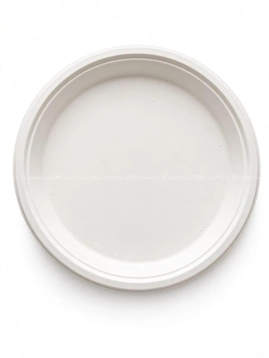 12 INCH BAGASSE DISPOSABLE PLATE | ECO-FRIENDLY 2
