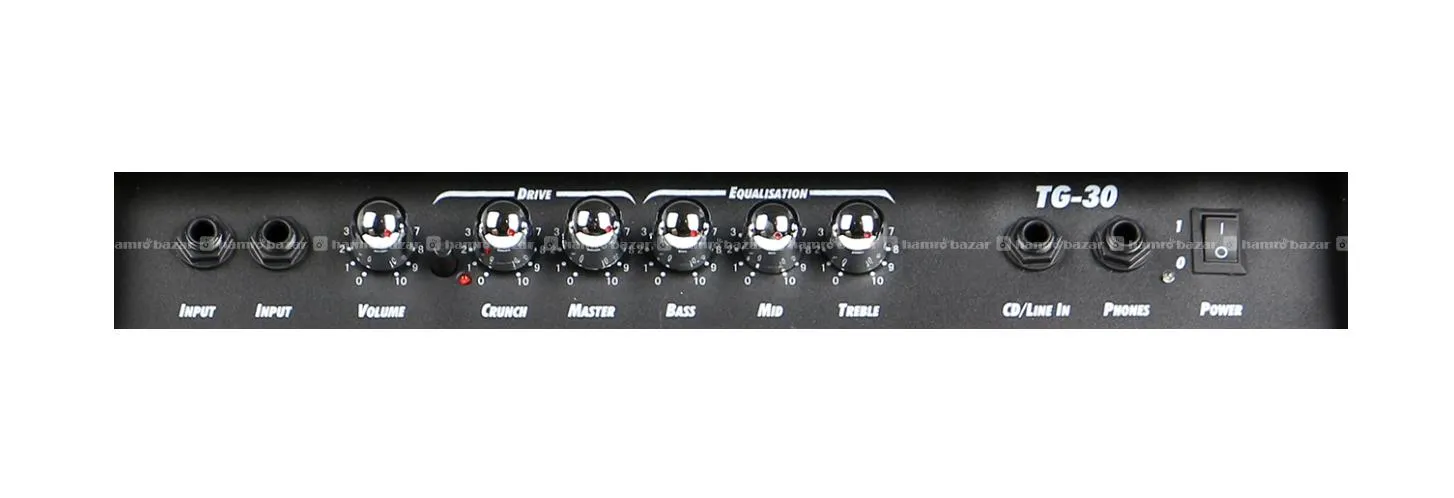 Deviser TG-30 watt 2 Input Guitar Amplifier 3