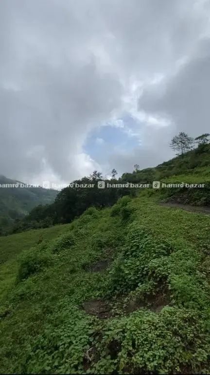 jarsing pauwa Land on sale cheap, sasto kathmandu