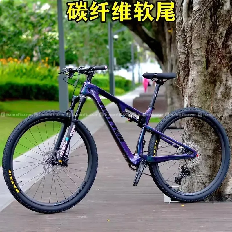 Carbon mountain bike
