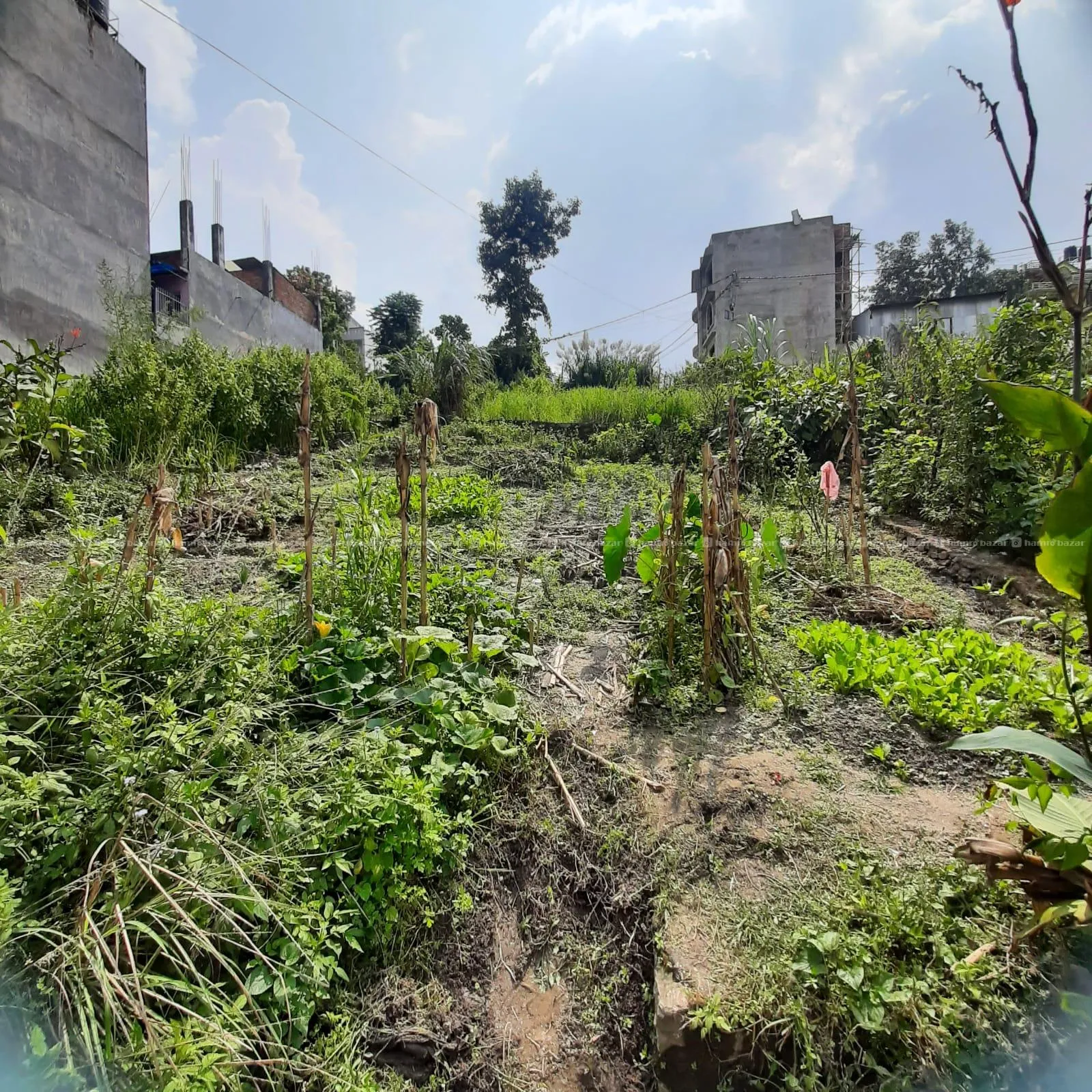 Land Sale @Tokha backside of Bhutkhel 2