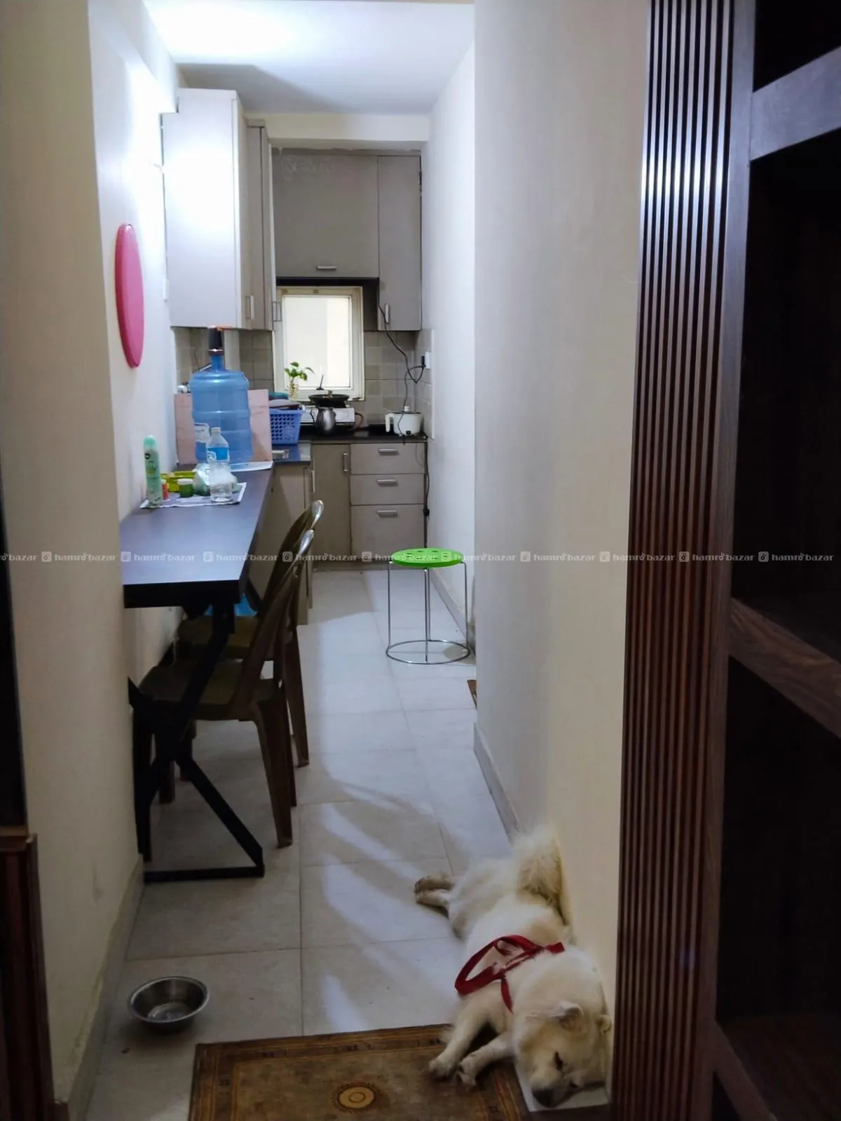 1 BHK - Fully Furnished Downtown Housing