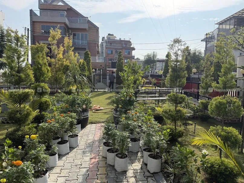 Premium land Sale in Darjeeling Heights Colony 2