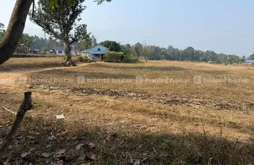 📢1 Kaththa (20 Dhur) Land for Sale in Hetauda! 📢