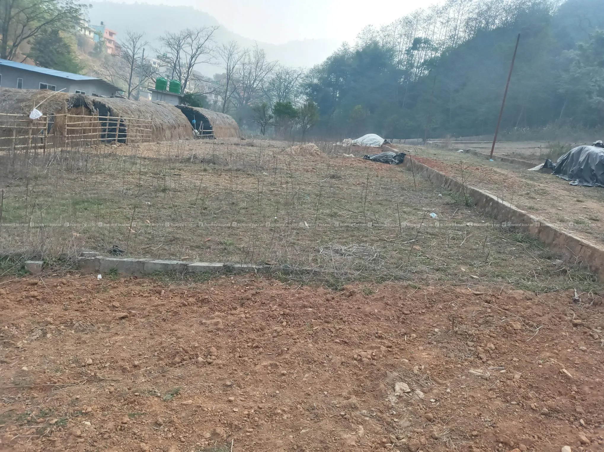 land in Sale (Lele)