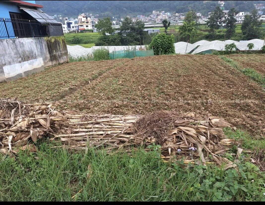 Land on sale  in Godamchaur, Godawari municipality