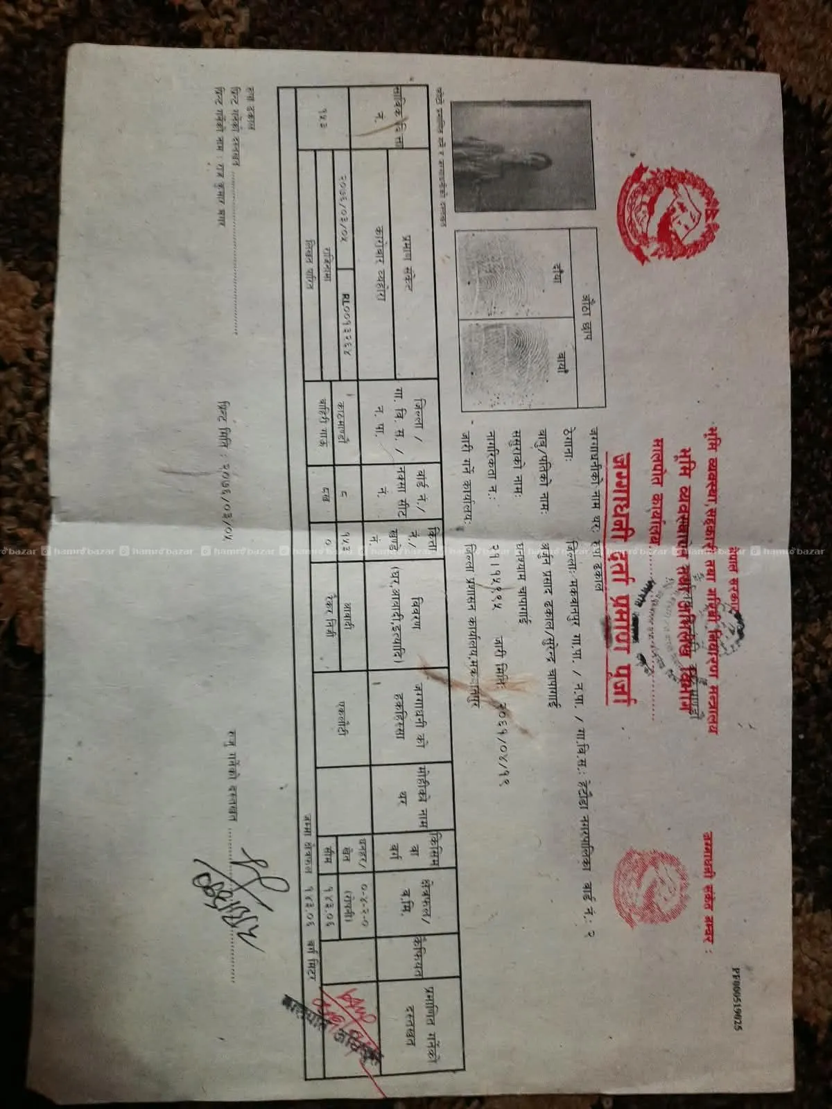 land fore sale